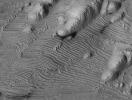 PIA15092: Rhythmic Layering in Danielson Crater on Mars