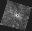 PIA15463: Rays the Roof