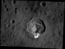 PIA16395: Details of Dominici