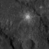 PIA16404: Small and Fresh
