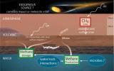 PIA16461: Potential Sources and Sinks of Methane on Mars