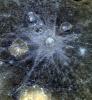 PIA16626: Blue Rays
