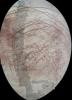 PIA16827: Repeated Flybys Yield a Pole-to-Pole View of Europa
