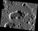 PIA16949: An Extra Kidney?