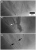 PIA17261: Some Gullies on Mars Could Be Tracks of Sliding Dry Ice