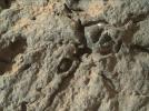 PIA17267: Detail in "Point Lake" Outcrop