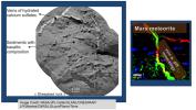 PIA17276: The Importance of Nested Scales of Observations, Fine Scales