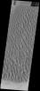 PIA17521: Proctor Crater Dunes