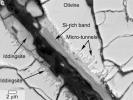 PIA17953: Microtunnels in Yamato Meteorite From Mars