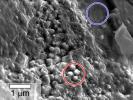 PIA17954: Spheroidal Features in Yamato Meteorite From Mars