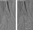 PIA18400: Changes Near Downhill End of a Martian Gully