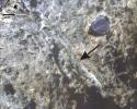 PIA18784: Bands on the 'Murray Formation'