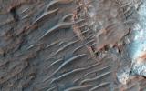 PIA18806: Banded TARs in Iapygia