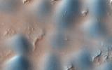 PIA18820: Dome and Barchan Dunes in Newton Crater