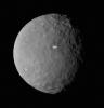 PIA19185: Bright Spot on Ceres Has Dimmer Companion