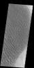 PIA19227: Proctor Crater Dunes