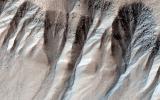PIA19295: Boulders in Gully Alcoves