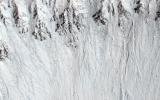PIA19309: Recurring Slope Lineae in Raga Crater