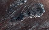 PIA19852: Frosty Gullies on the Northern Plains