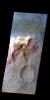 PIA20428: Tyrrhena Terra - False Color