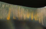 PIA20736: Glowing Gullies in Kaiser Crater Dunes