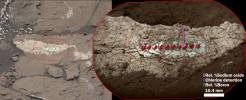PIA21252: Boron, Sodium and Chlorine in Mineral Vein 'Diyogha,' Mars