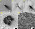 PIA21258: Possible Development Stages of Martian 'Spiders'