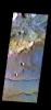 PIA21547: Sirenum Fossae - False Color