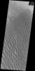 PIA21657: Proctor Crater Dunes