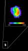 PIA21858: Martian Moon Phobos in Thermal Infrared Image