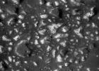 PIA22058: Possible Floor of an Ancient Martian Sea