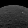 PIA22485: Last Look: Ceres