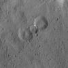 PIA22517: Complex Crater Assemblage on Ceres