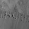 PIA22526: Landslides Along Occator Crater's Rim