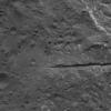 PIA22628: Fractures in Occator Crater's Floor