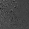 PIA22760: Fracture Pattern on the Floor of Occator Crater