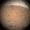 PIA22829: InSight's First Image from Mars