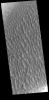PIA22891: Proctor Crater Dunes