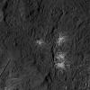 PIA22981: Stars in Occator Crater