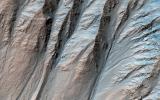 PIA23100: Complex Gullies in a Crater