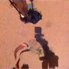 PIA23512: InSight's Arm Camera Stares Into the Pit