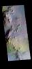 PIA23626: Hale Crater - False Color