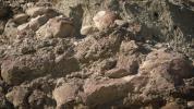 PIA23779: Stromatolites in the Nevada Desert