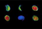 PIA23893: Odyssey's Six Views of Phobos
