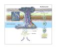PIA24042: A Mushball and Shallow-Lightning Factory (Illustration)