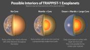 PIA24372: Possible Interiors of the TRAPPIST-1 Exoplanets