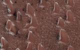 PIA24390: Spring Sprouts on Mars