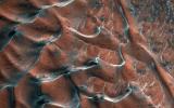 PIA24420: Frosty Sand Dunes of Mars