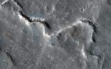PIA24470: Sinuous Ridges in Elysium Planitia