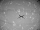 PIA24623: Black and White Image From Ingenuity's Third Flight